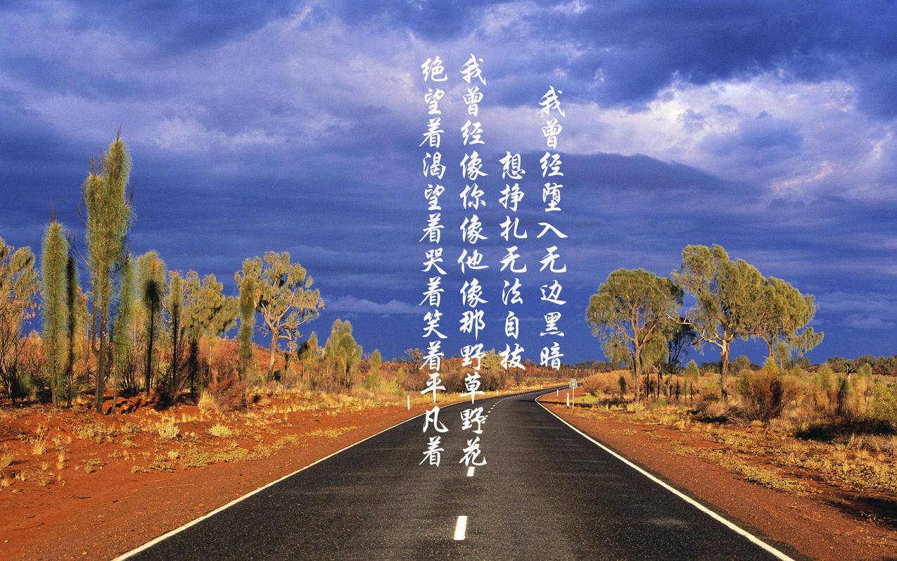 网红商城